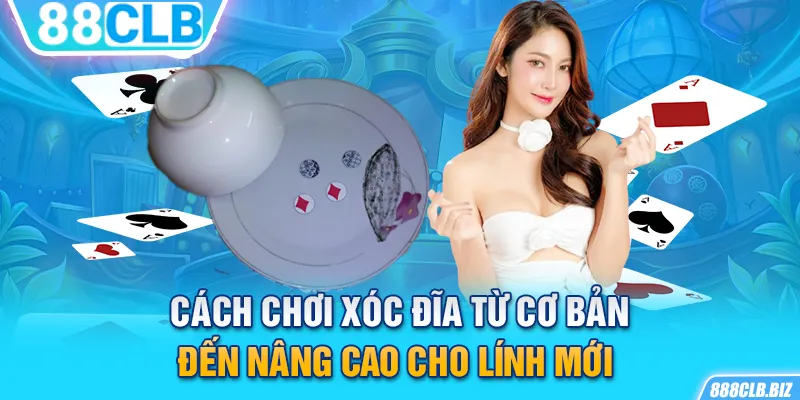 88CLB mách bạn cách chơi Xóc Đĩa hiệu quả