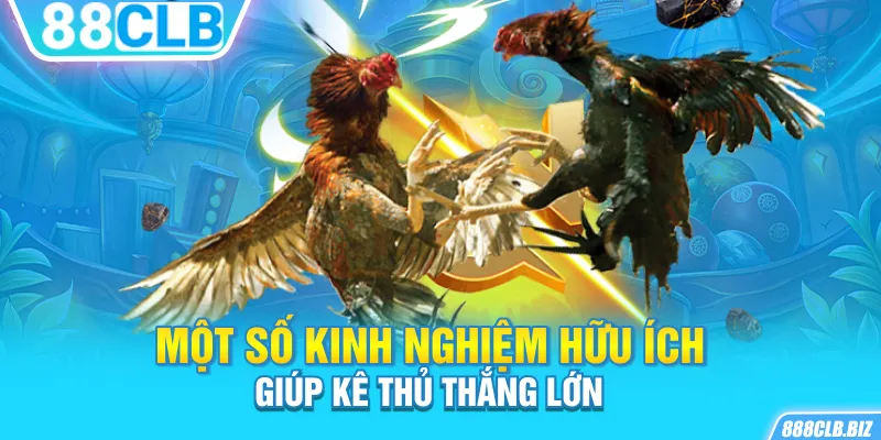 Một số kinh nghiệm hữu ích giúp kê thủ thắng lớn