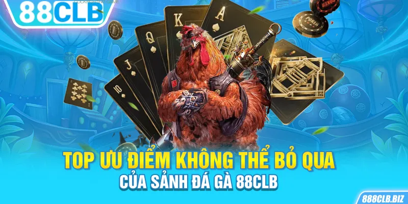 Top ưu điểm không thể bỏ qua của sảnh Đá Gà 88CLB