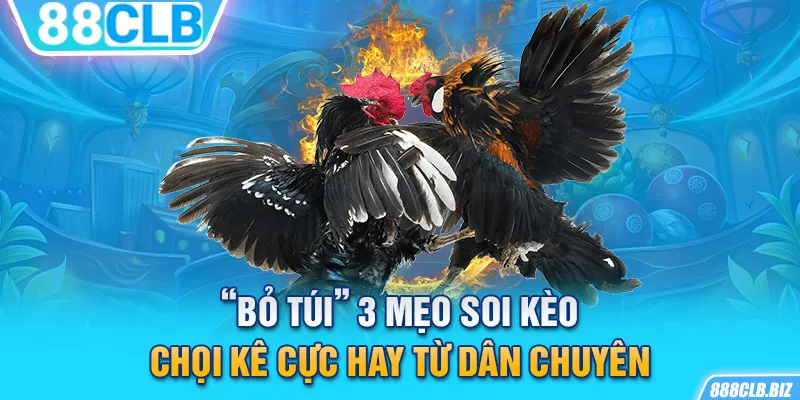 “Bỏ túi” 3 mẹo soi kèo chọi kê cực hay từ dân chuyên