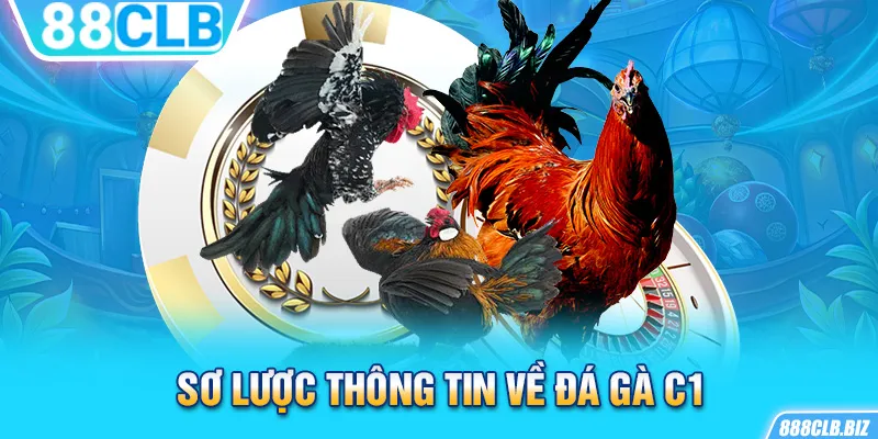 Sơ lược thông tin về đá gà C1