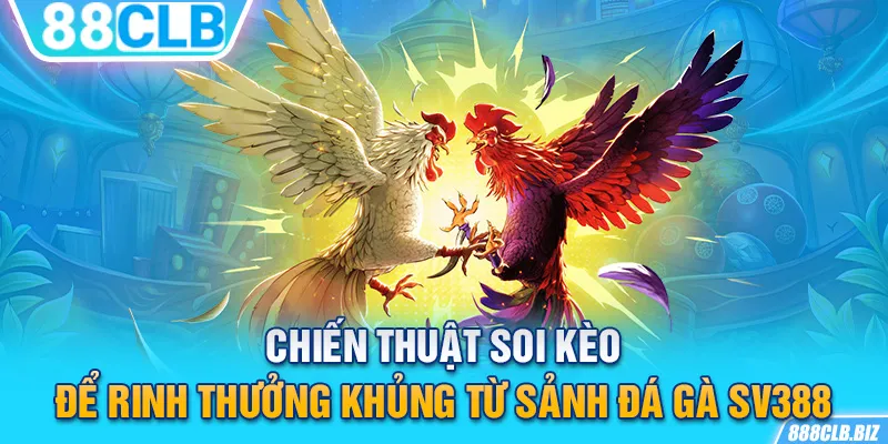 Chiến thuật soi kèo để rinh thưởng khủng từ sảnh đá gà SV388