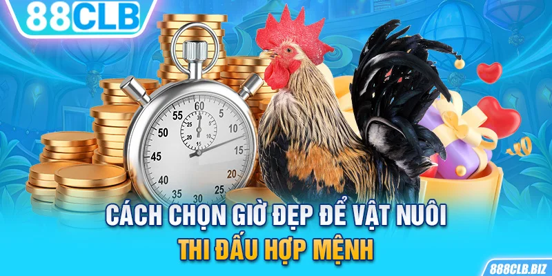 Cách chọn giờ đẹp để vật nuôi thi đấu hợp mệnh