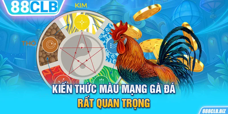 Kiến thức màu mạng gà đá rất quan trọng