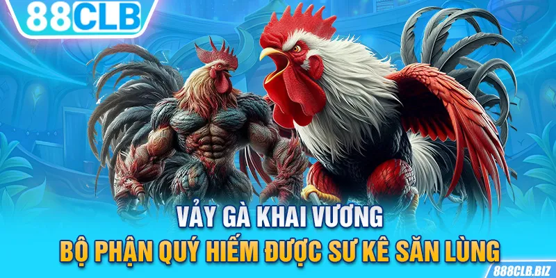 Vảy gà khai vương - Bộ phận quý hiếm được sư kê săn lùng