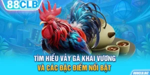 Vảy gà khai vương