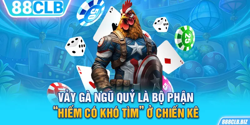 Vảy gà ngũ quỷ là bộ phận “hiếm có khó tìm” ở chiến kê