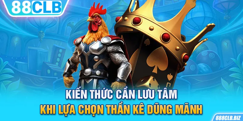 Kiến thức cần lưu tâm khi lựa chọn thần kê dũng mãnh