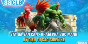 Vảy gà vấn cán