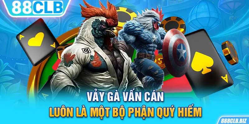 Vảy gà vấn cán luôn là một bộ phận quý hiếm