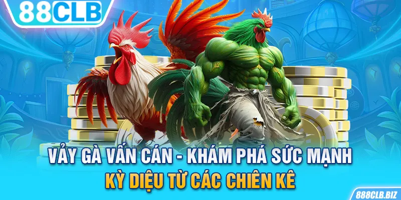 Vảy gà vấn cán